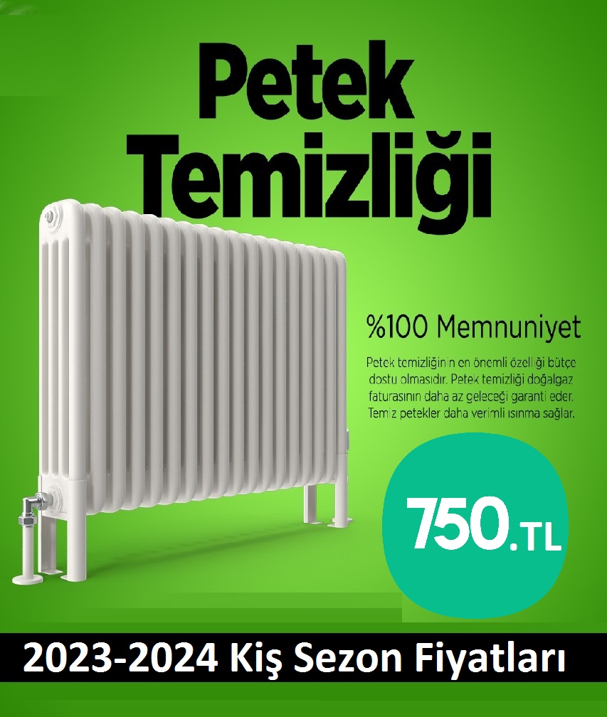 Başiskele Petek Temizliği Tek Fiyat Teklifi Al